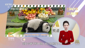 泰剧四分钟在线观看完整版免费